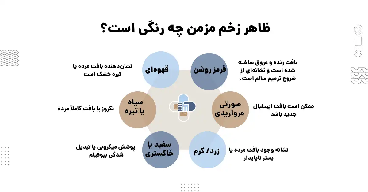 ظاهر زخمهای مزمن
